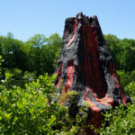 image of volcano at dinosaur place in montville ct.