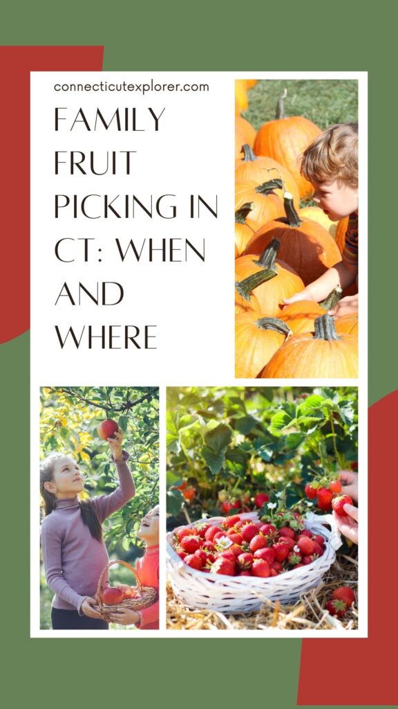 fruit picking in Connecticut pinterest image.