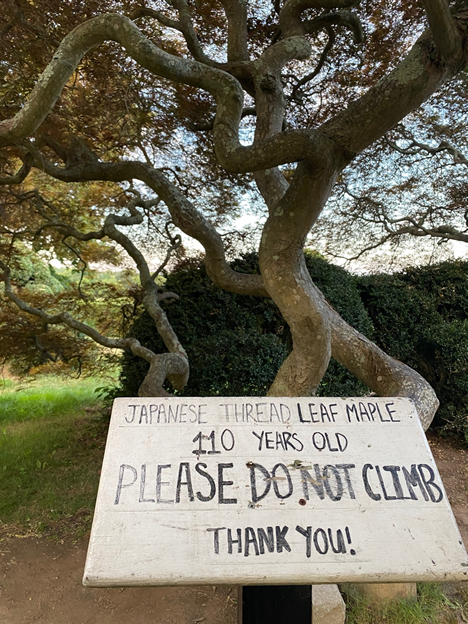 Image of tree and sign at harkness memorial park in waterford connecticut.