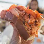 image of the best lobster rolls in ct.