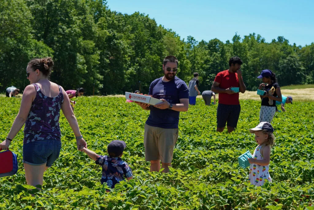 Image of fun things to do with toddlers in CT at lyman orchards.