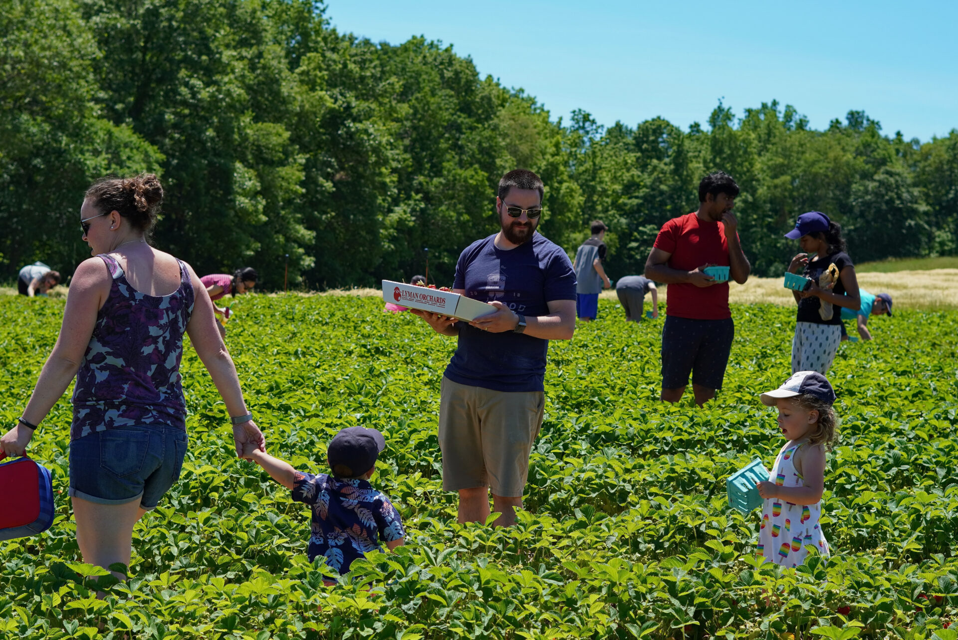 image of fun things to do with toddlers in ct at lyman farms.