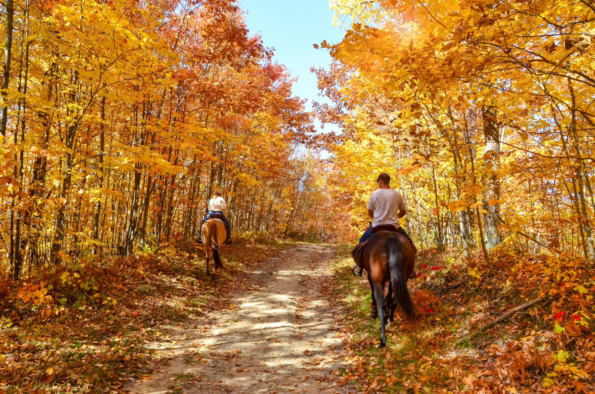 image of a couple horseback trail riding in ct.