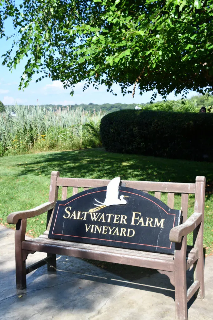 Image of saltwater farm vineyard in Connecticut.
