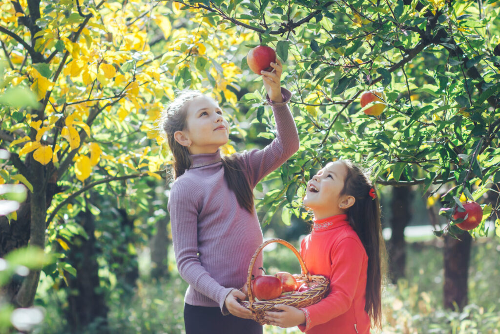 image of kids picking apples.