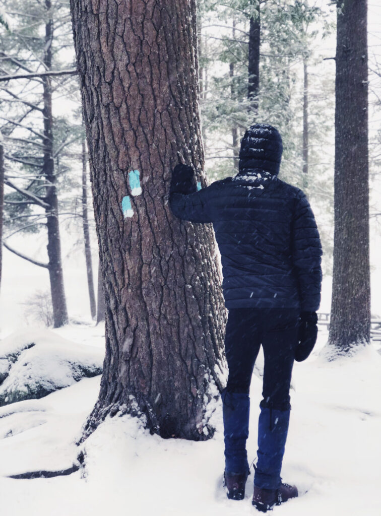 image of someone exploring connecticut.