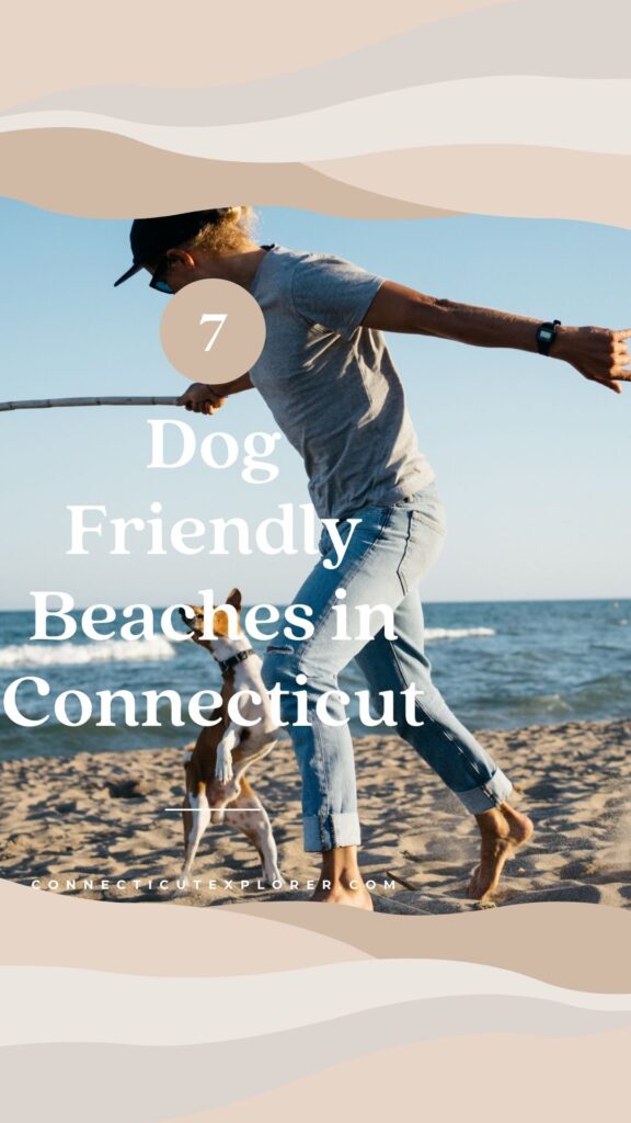 7 dog friendly beaches in ct pinterest image.