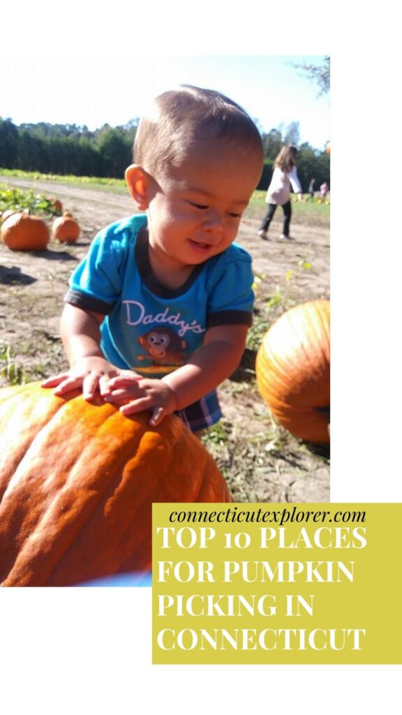 top 10 places for pumpkin picking in connecticut pinterest image.