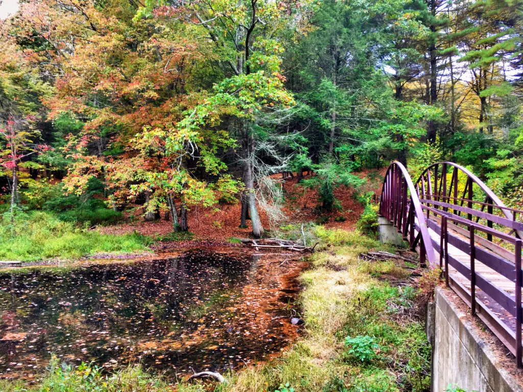 image of bridge at black rock state park in connecticut.