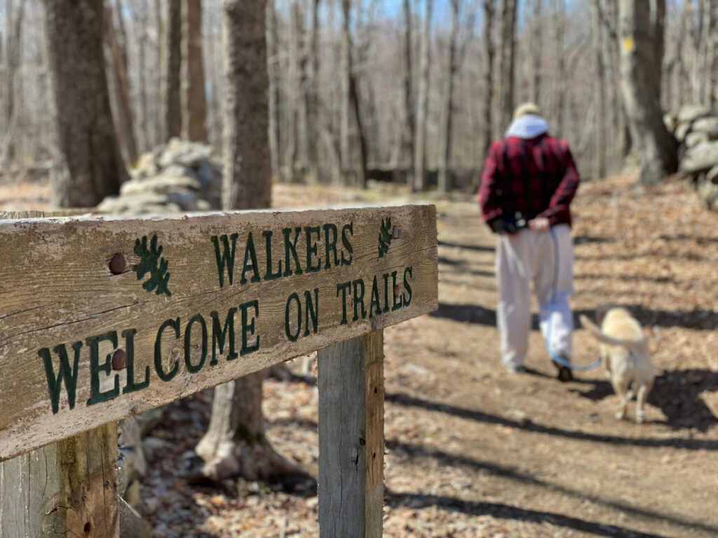 image of man walking dog on walking trails in ct.