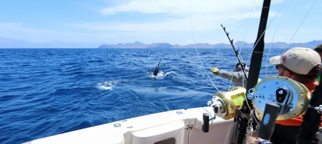 image of someone deep sea fishing in Connecticut.