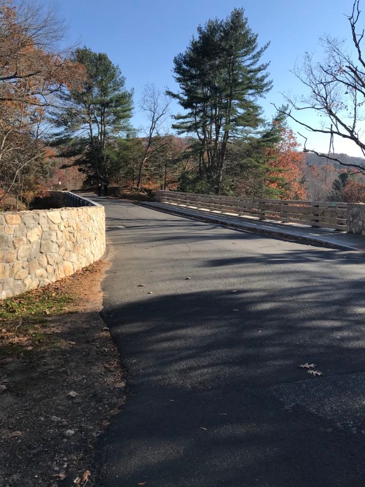 image of road that winds through devil's hopyard state park in ct.