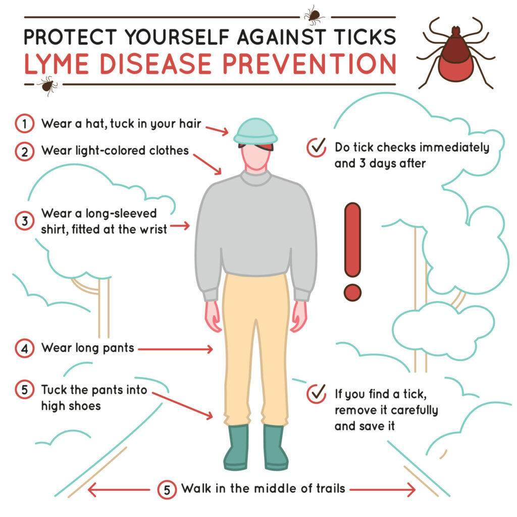 image of Lyme Disease prevention poster.