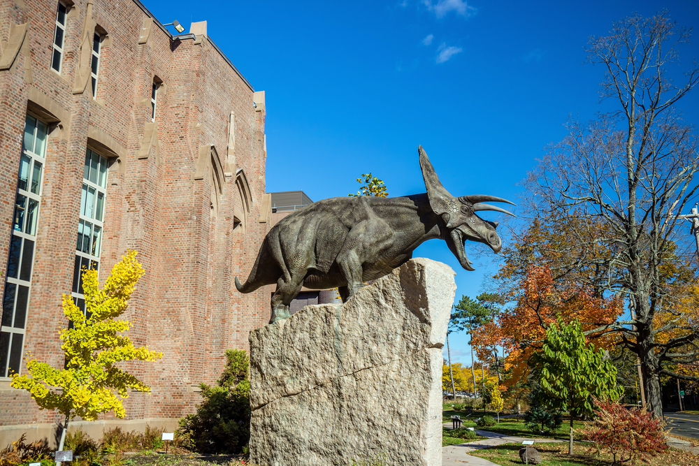 image of dinosaur statue outside of yale peabody museums in new haven ct.