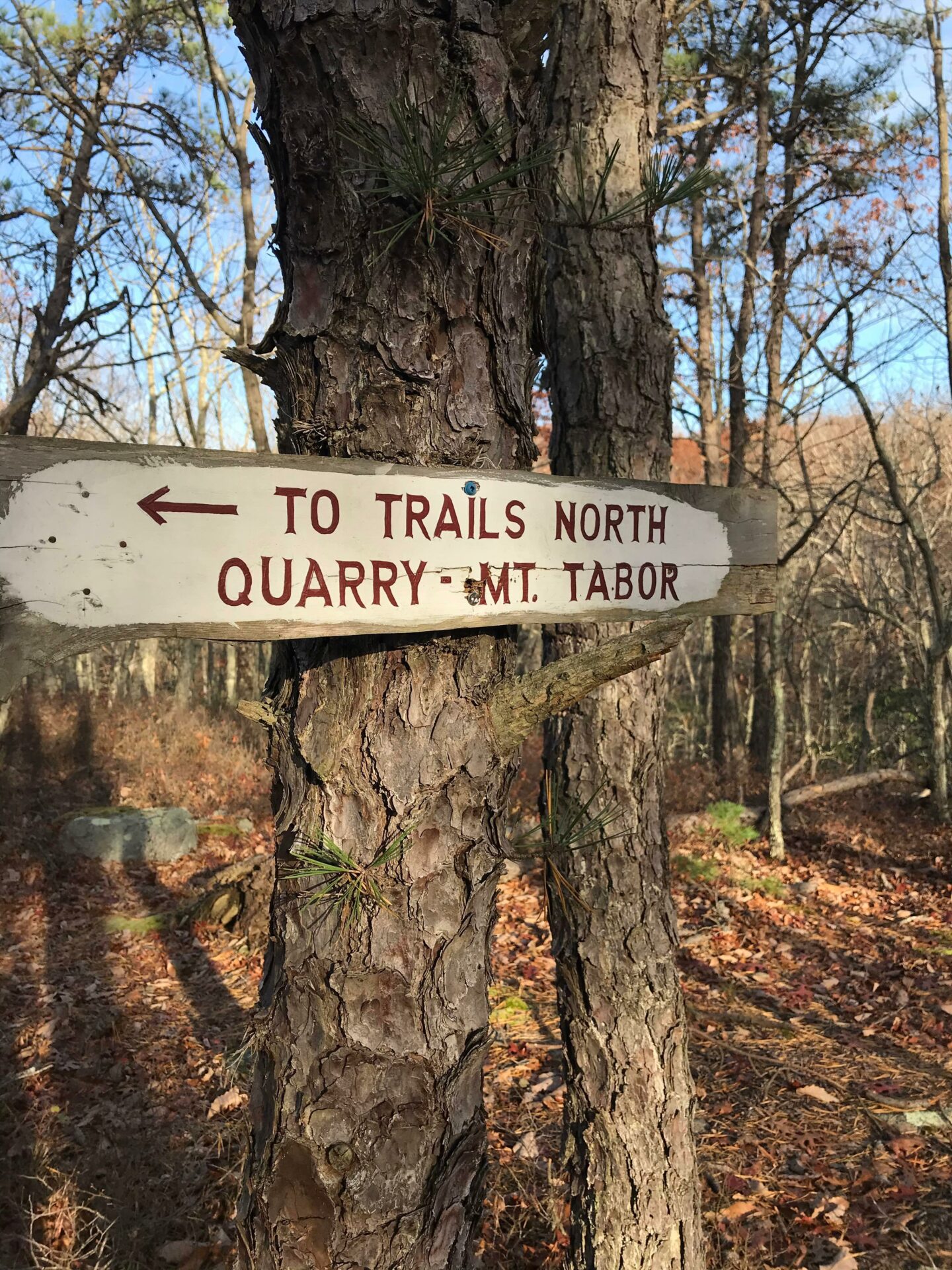 Image of sign for mt. tabor at Oswegatchie Hills Nature Preserve.