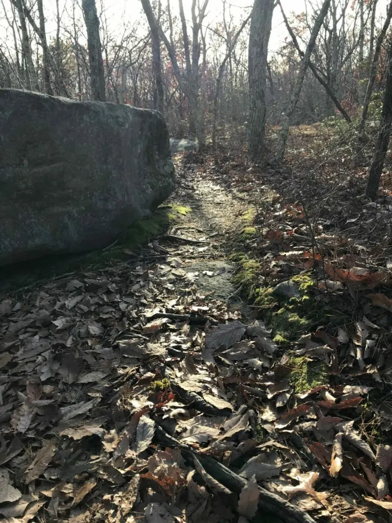 Imahe of hiking trails at east lyme ct in Oswegatchie Hills Nature Preserve.