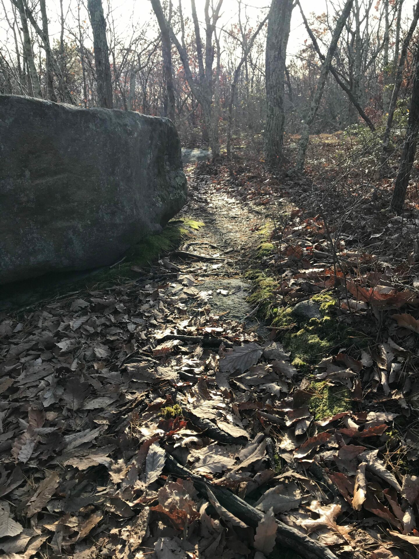 Hiking in East Lyme, CT Oswegatchie Hills Nature Preserve The