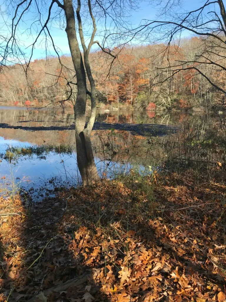 Image of Clark Pond at Oswegatchie Hills Nature Preserve.