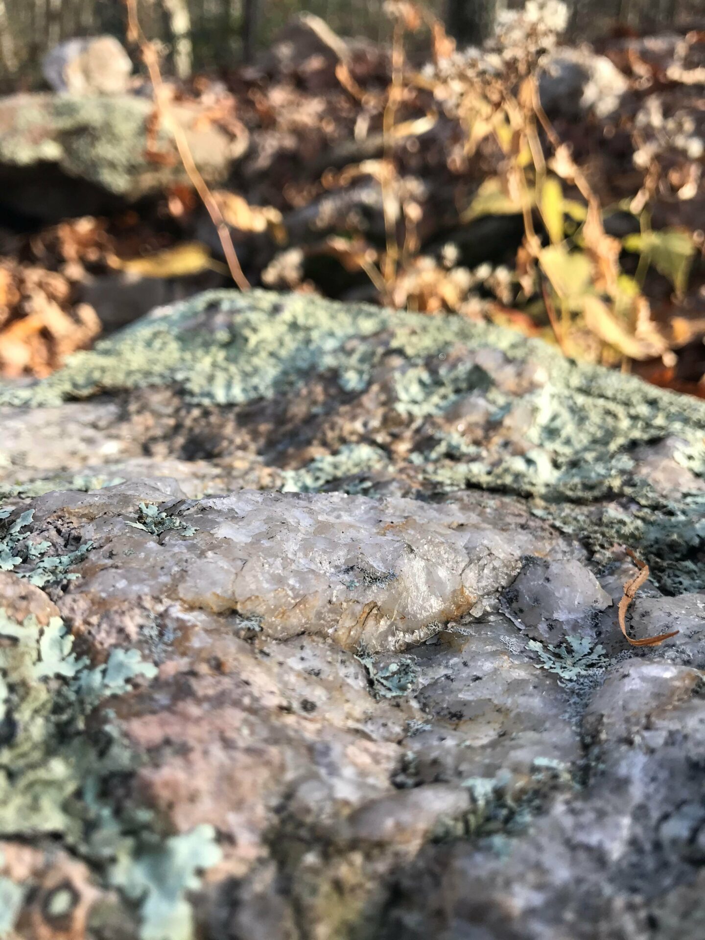 Image of quartz close up at Oswegatchie Hill Nature Preserve.