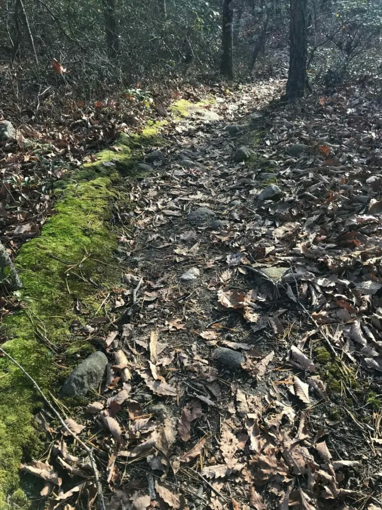 Image of hiking in East Lyme trail at Oswegatchie Hill Nature Preserve.