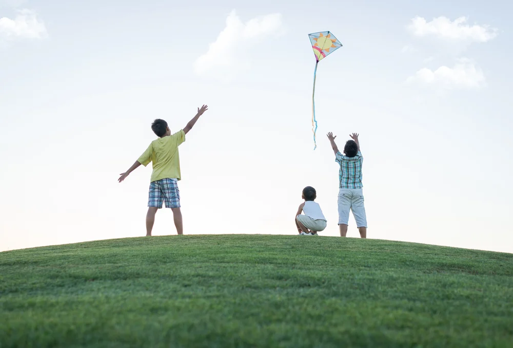 image of family going kite flying in ct.