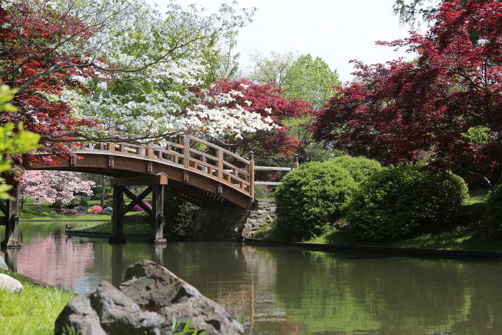 image of bridge over river at one of the Connecticut botanical gardens.