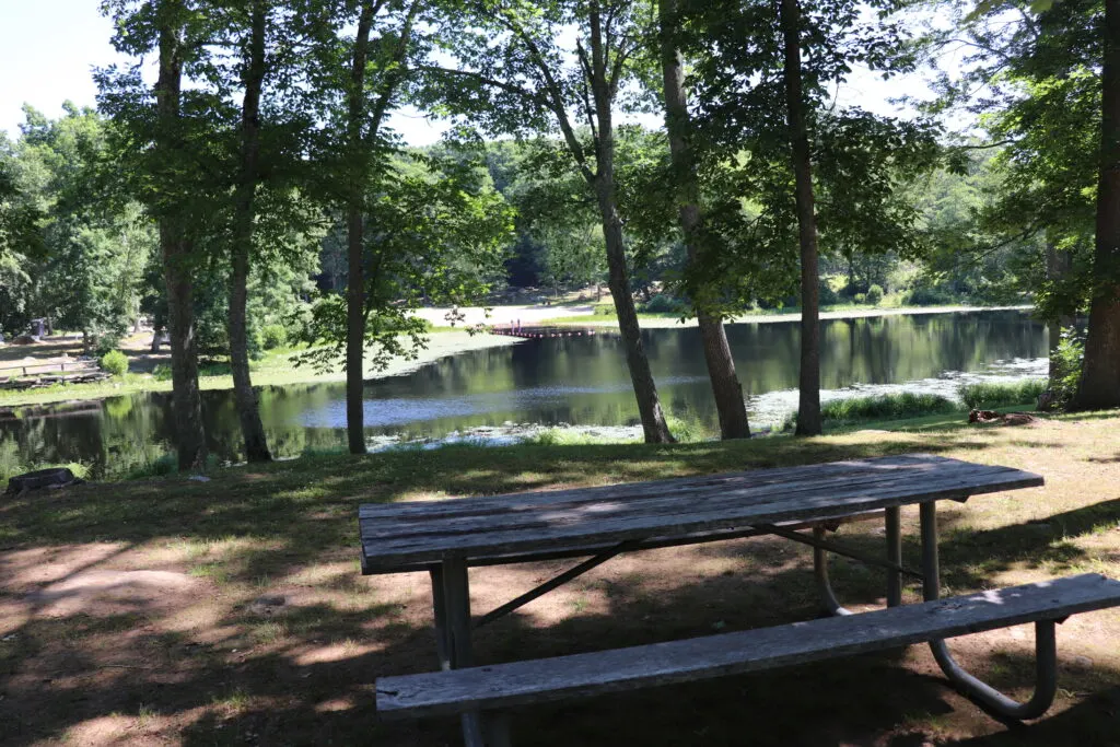 image pf picnic area with grills at day pond state park in colchester ct.