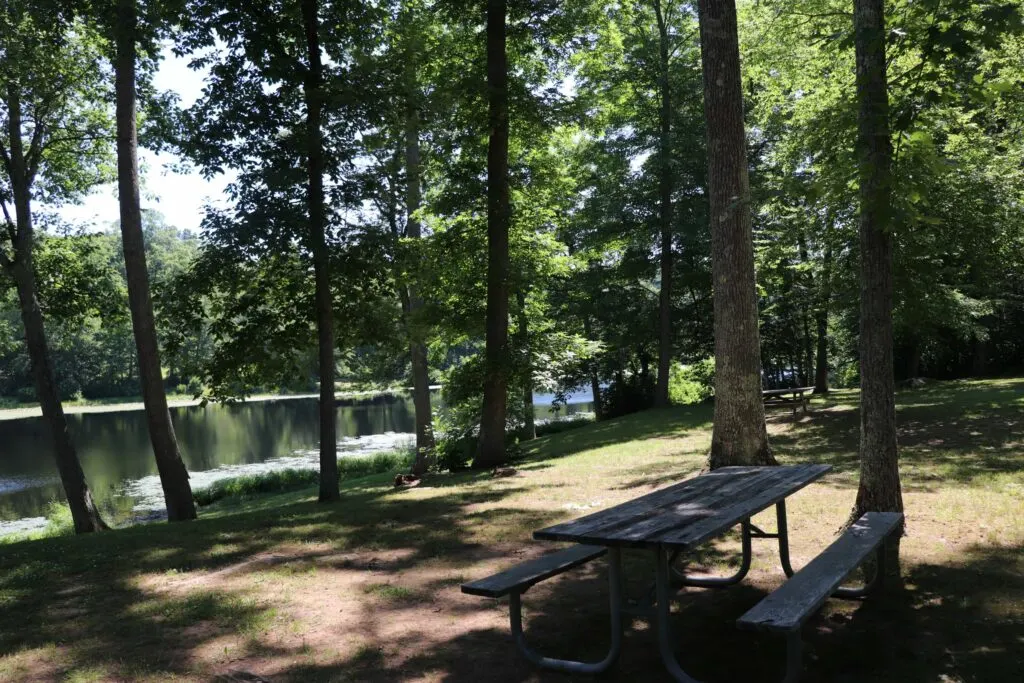 image of picnic area at day pond state park in cochester, Connecticut.