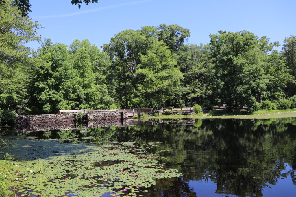 image of bridge at day pond state park in colchester ct.
