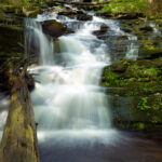 image of Day Pond Brook Falls at Day Pond State Park in Cochester, CT