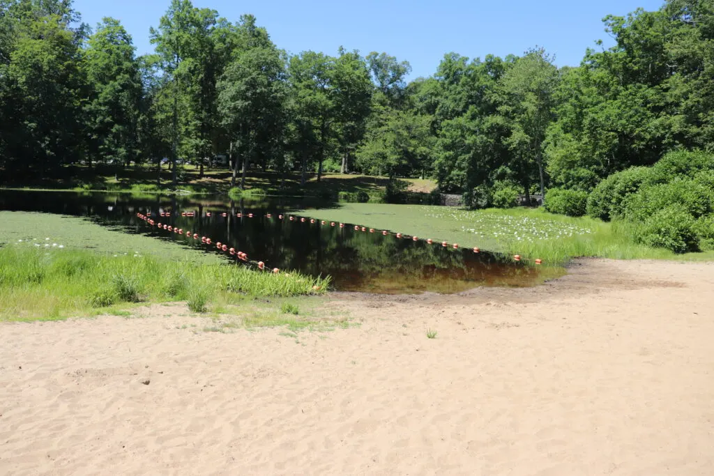 image of swimming beach at day pond state park in colchester ct.