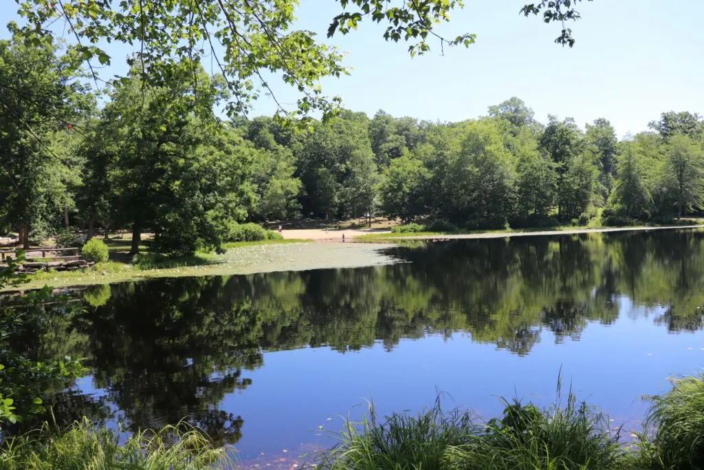 image of day pond state park in Colchester CT.