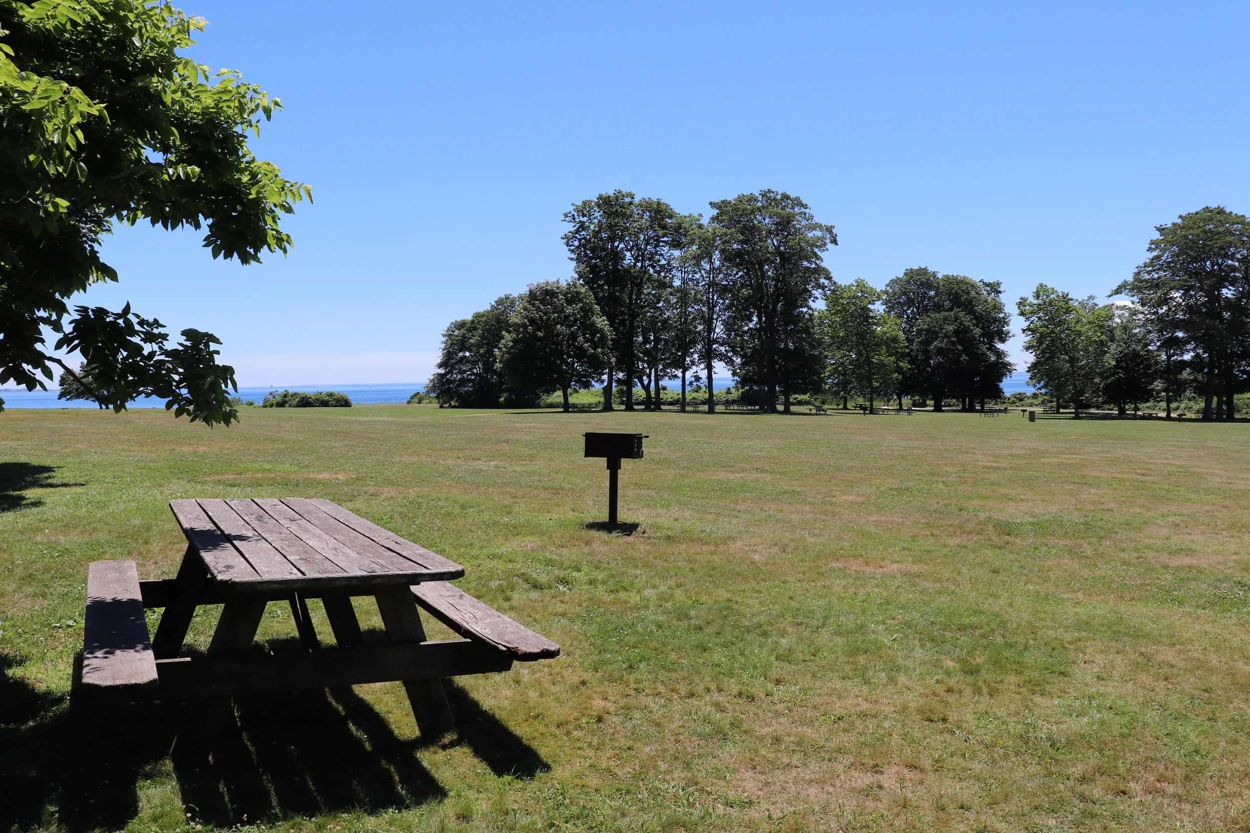 Image of picnic table and grill at harkness park in waterford connecticut.