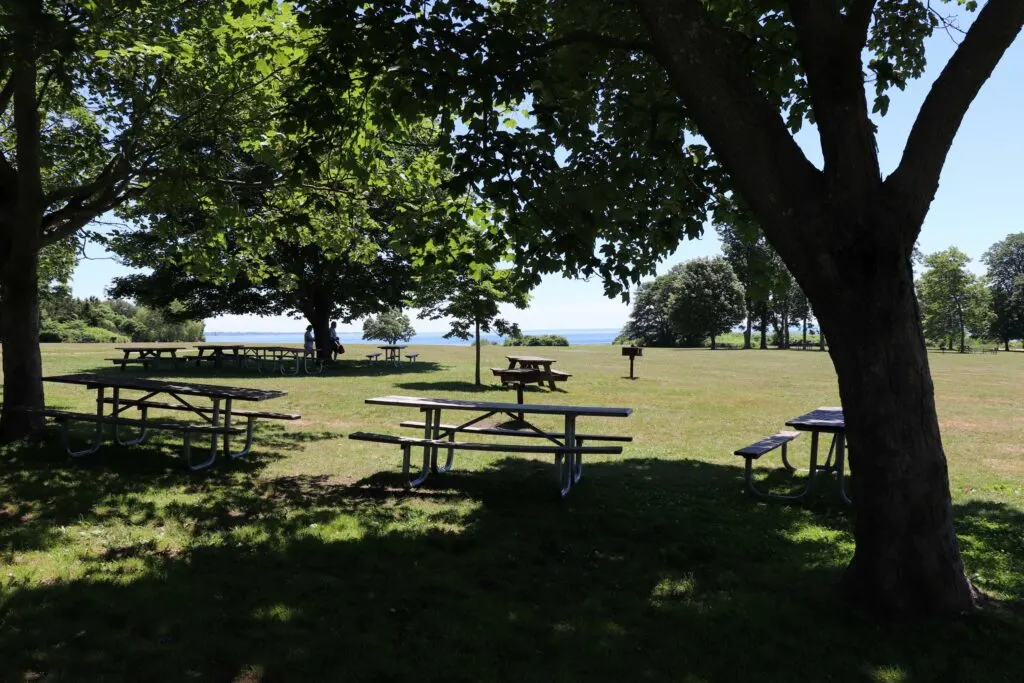 Image of multiple picnic tables and grills at harkness park in waterford ct.