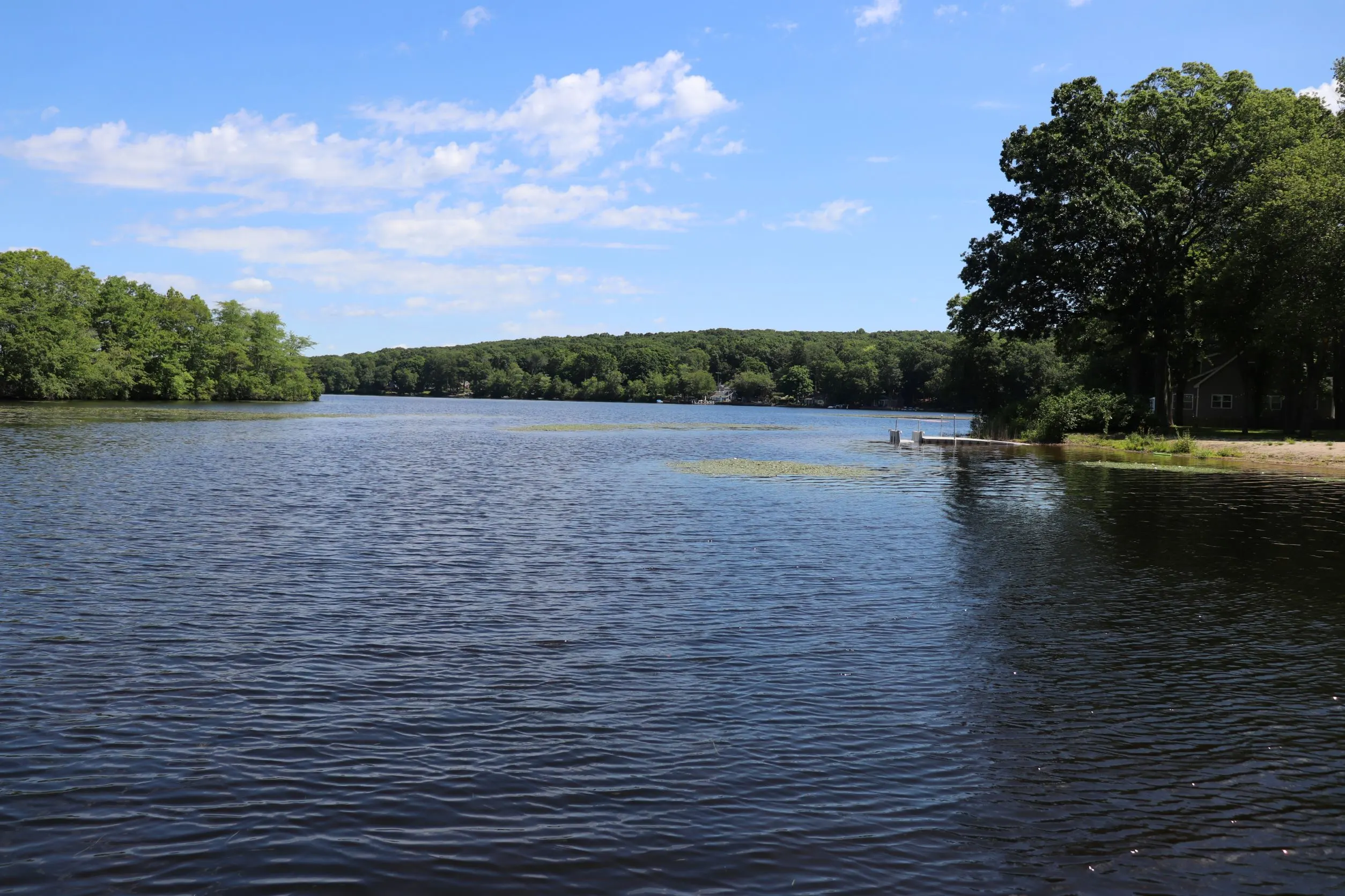 image of Rogers Lake in Old Lyme Connecticut.