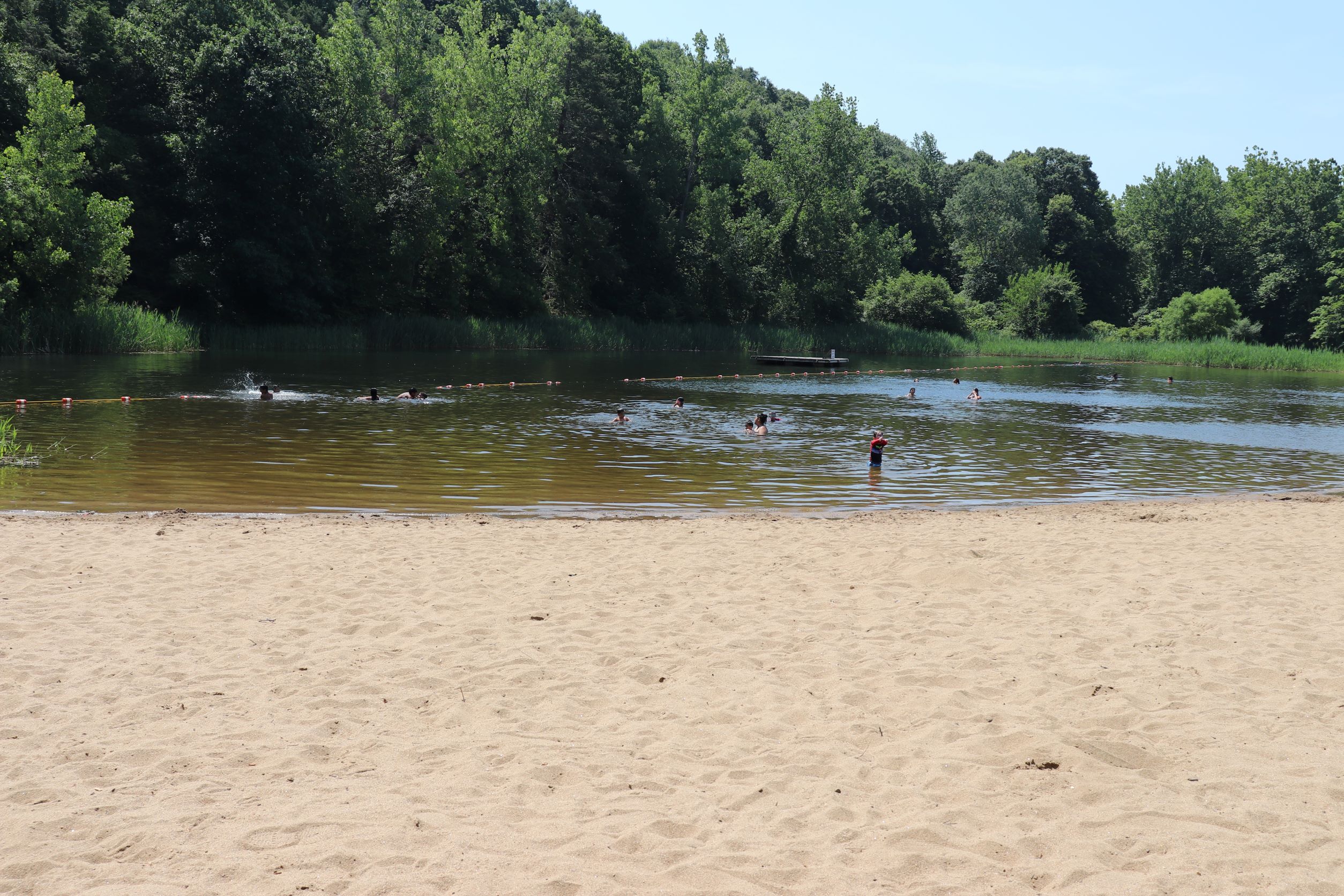 image of kids swimming at beach in wadsworth state park in middletown ct.