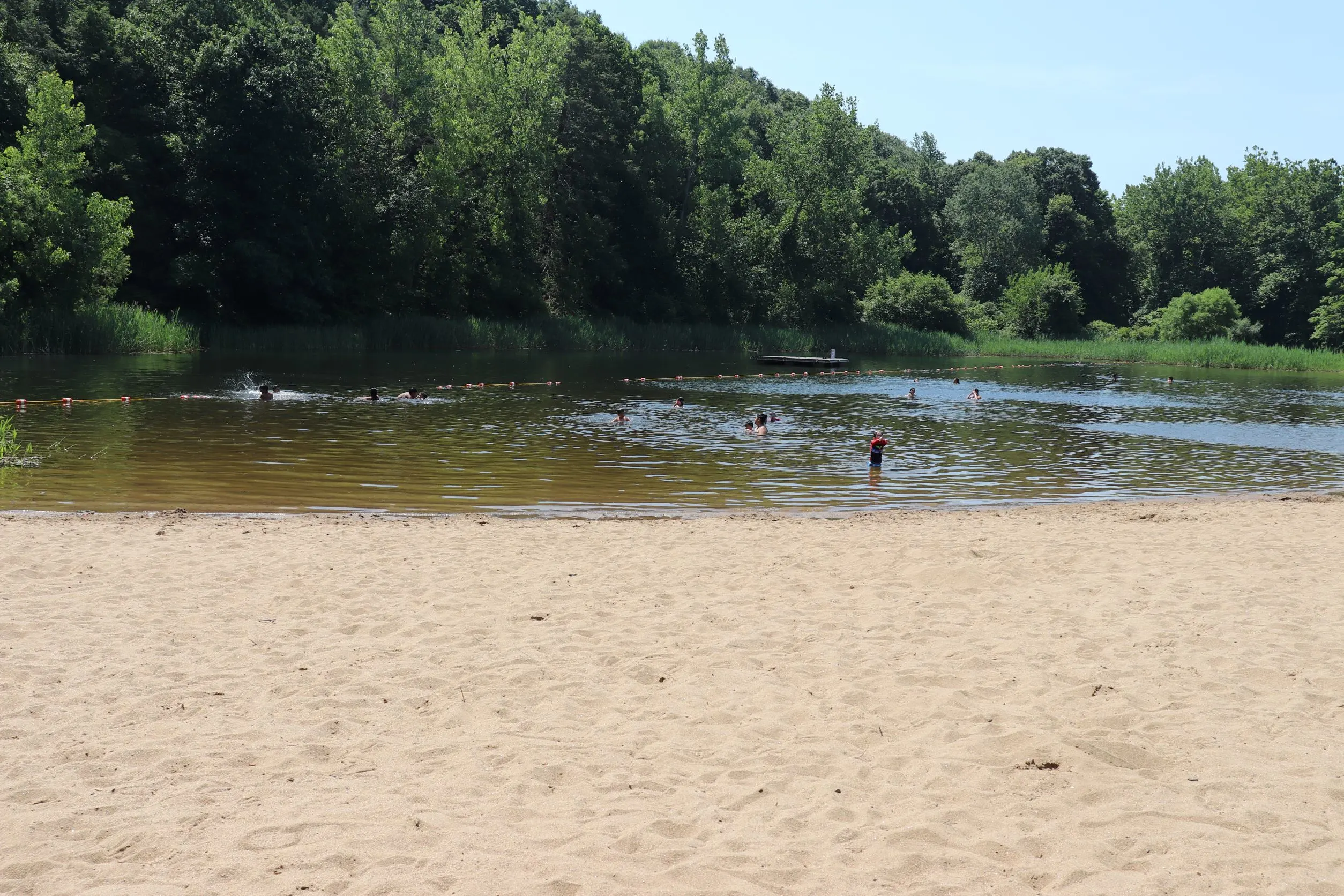 image of kids swimming at beach in wadsworth state park in middletown ct.