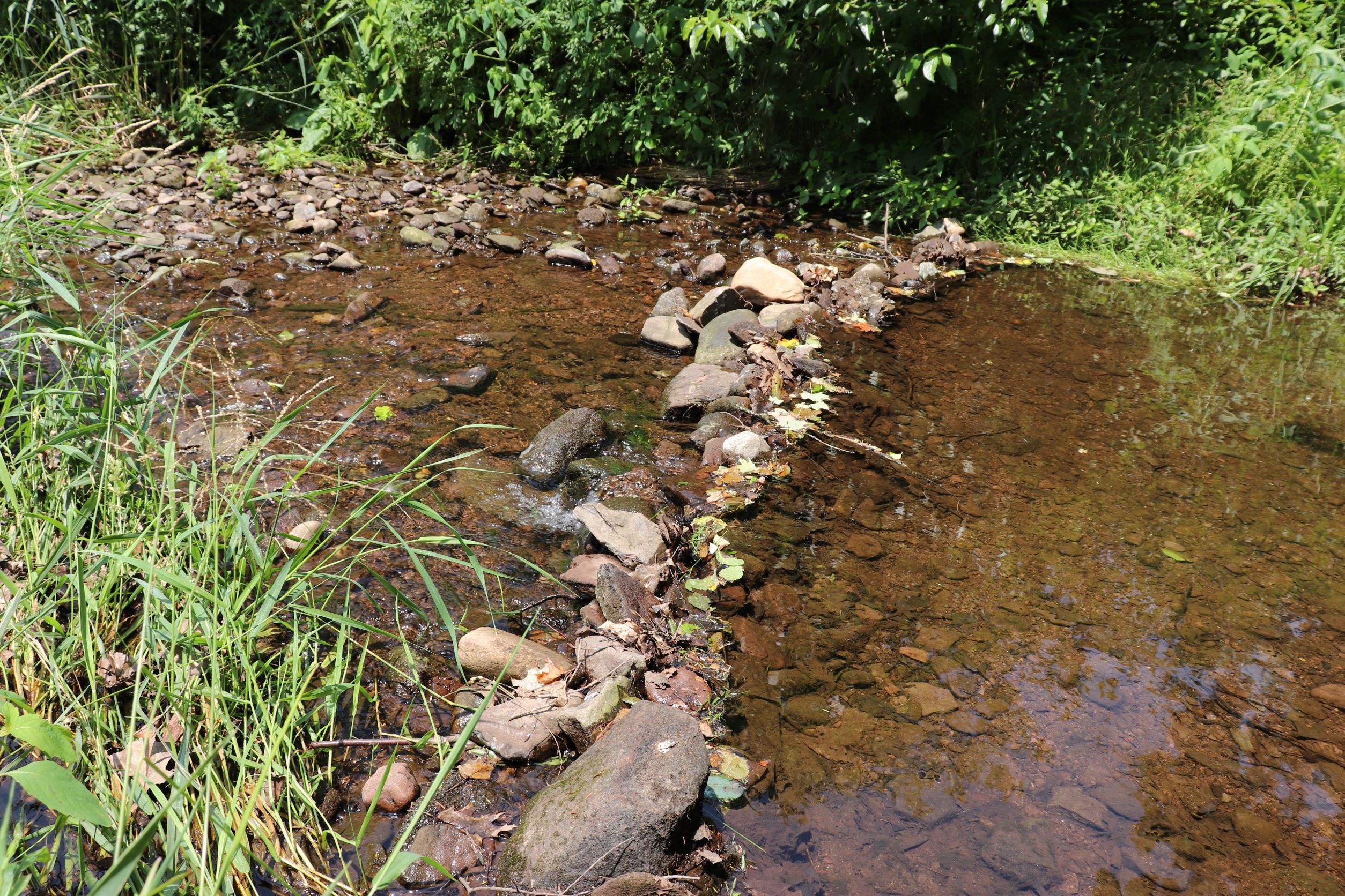 Image of small brook with rocks at Wadsworth State Park in Middletown CT.