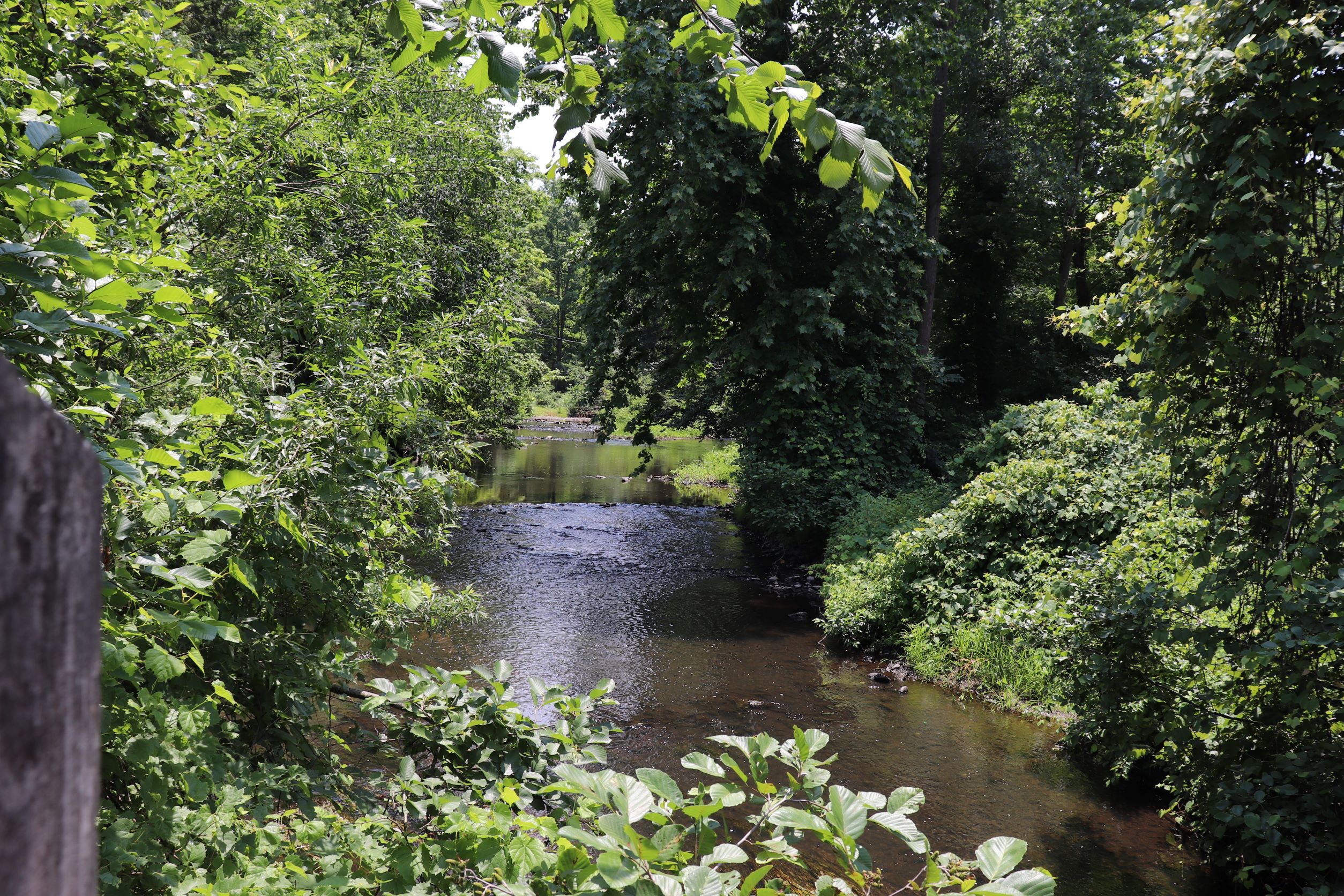 Image of Wadsworth Brook in Wadsworth State Park in Middletown CT.