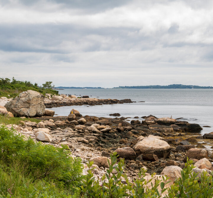 image of bluff point, one of the best beaches in Groton, CT.