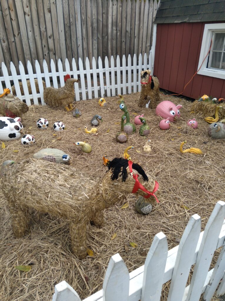 Image of pumpkins painted like farm animals at pumpkintown usa in east hampton ct.