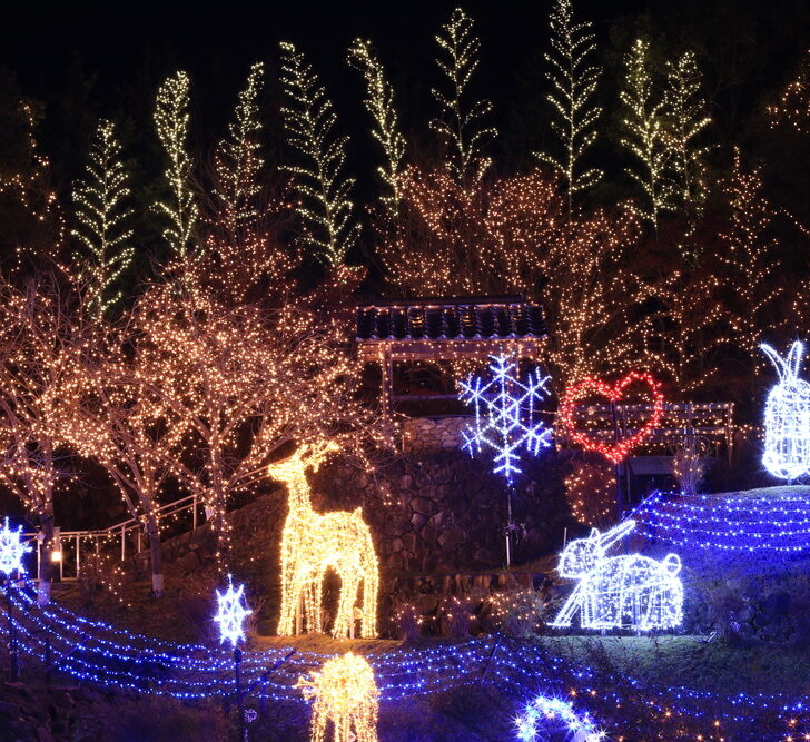 image of Christmas lights, one of the Christmas things to do in CT.