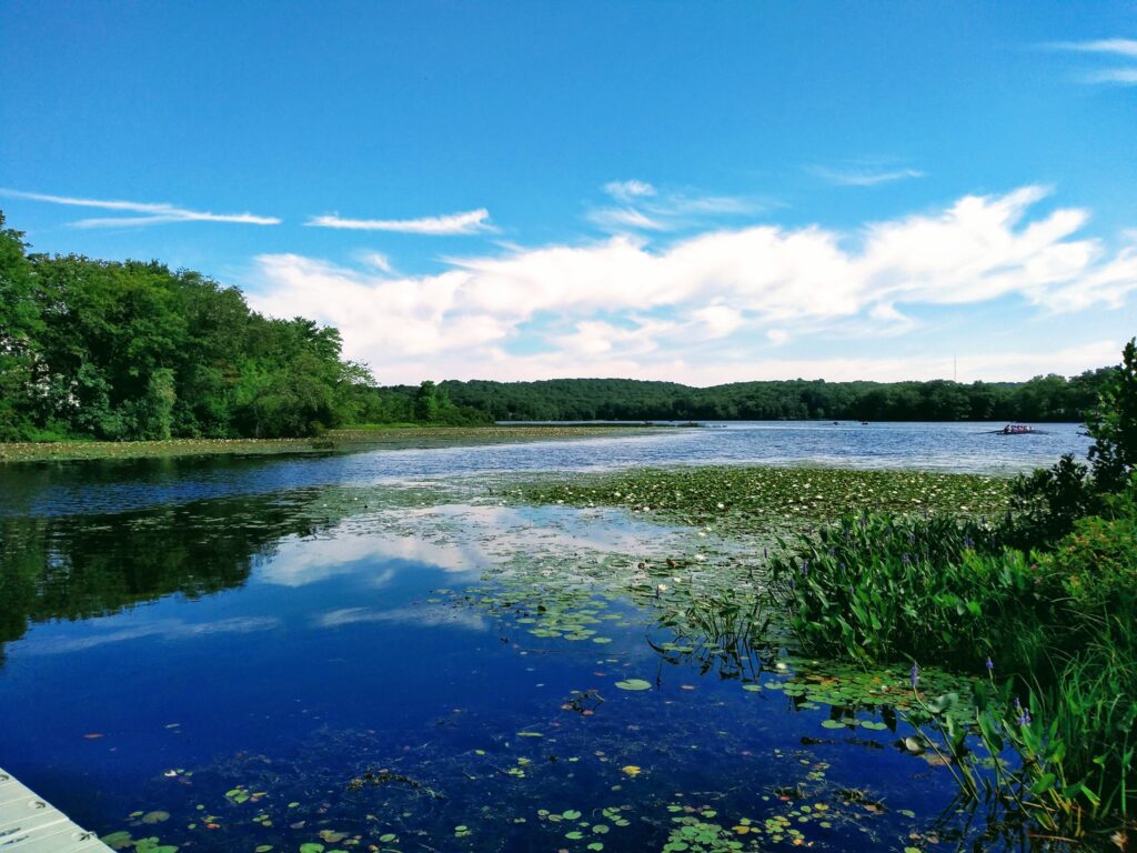 image of patteganset lake, marchy grass in the summer in east lyme, ct.