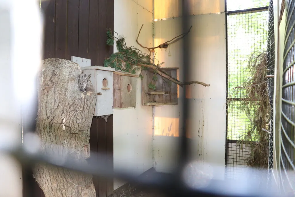 Image of bird nesting boxes at the Dennison Pequot Nature Center in Mystic, Ct.