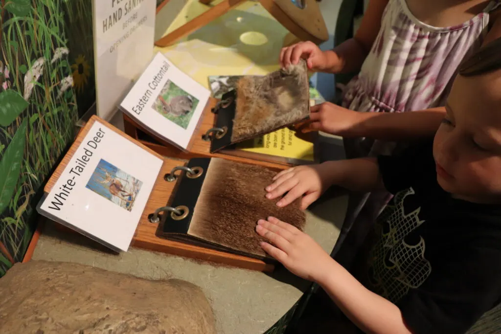 image of children touching exhibit at denison pequotsepos nature center in mystic, ct.