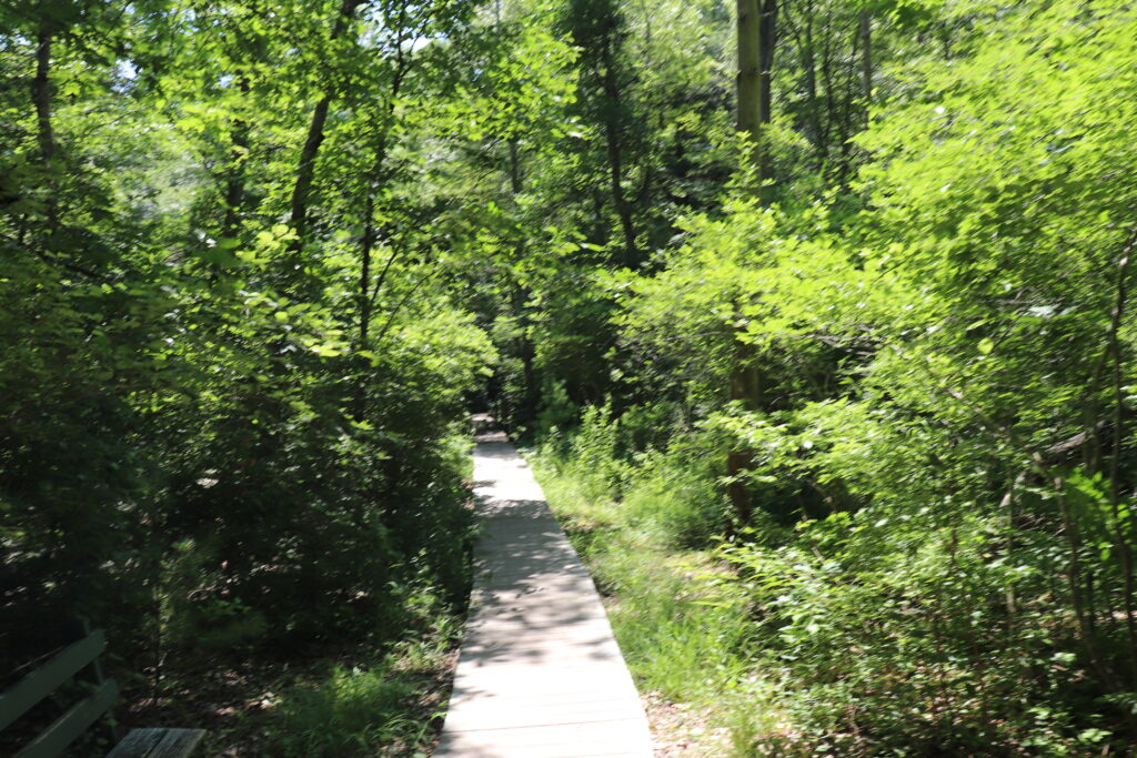 Image of wooden bridge path at Pequot Nature Center.