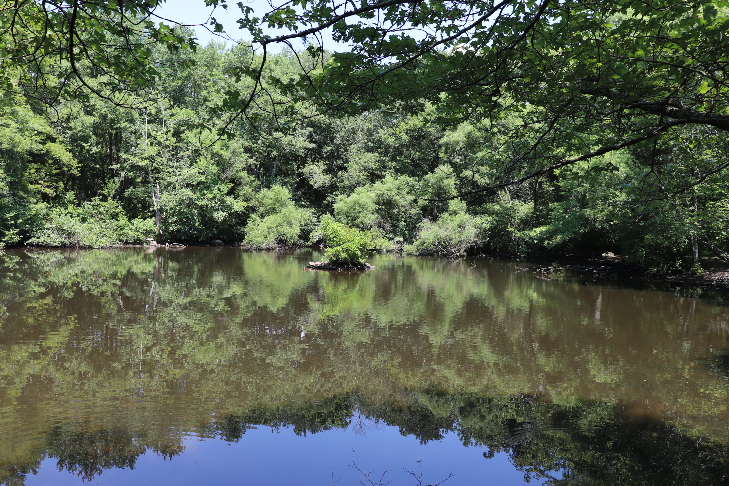 Your Visitors Guide to the Denison Pequotsepos Nature Center in Mystic 