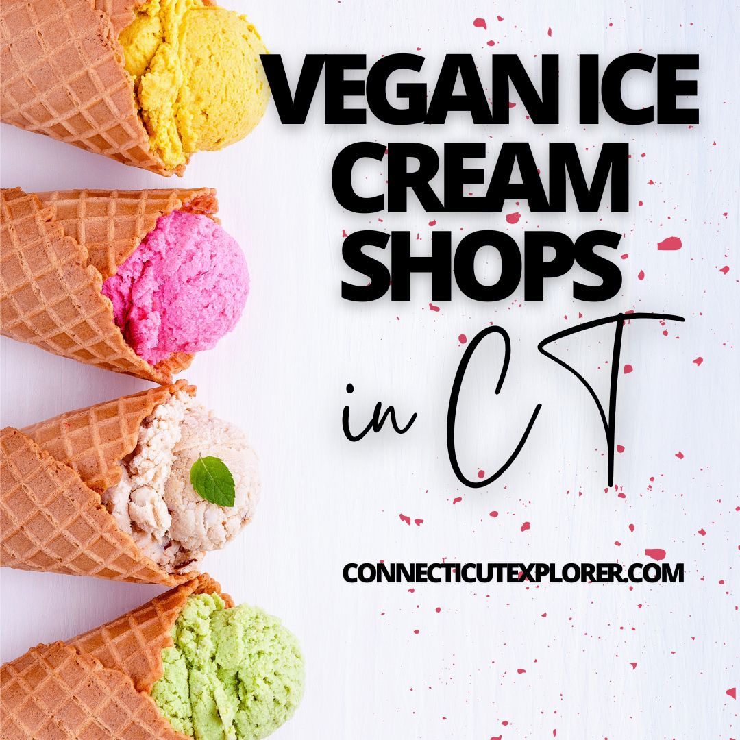 The 8 Best Places for Vegan Ice Cream in CT The Connecticut Explorer