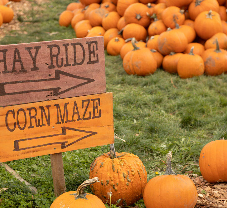 image of pumpkins and signs for hay rides and corn mazes in CT.